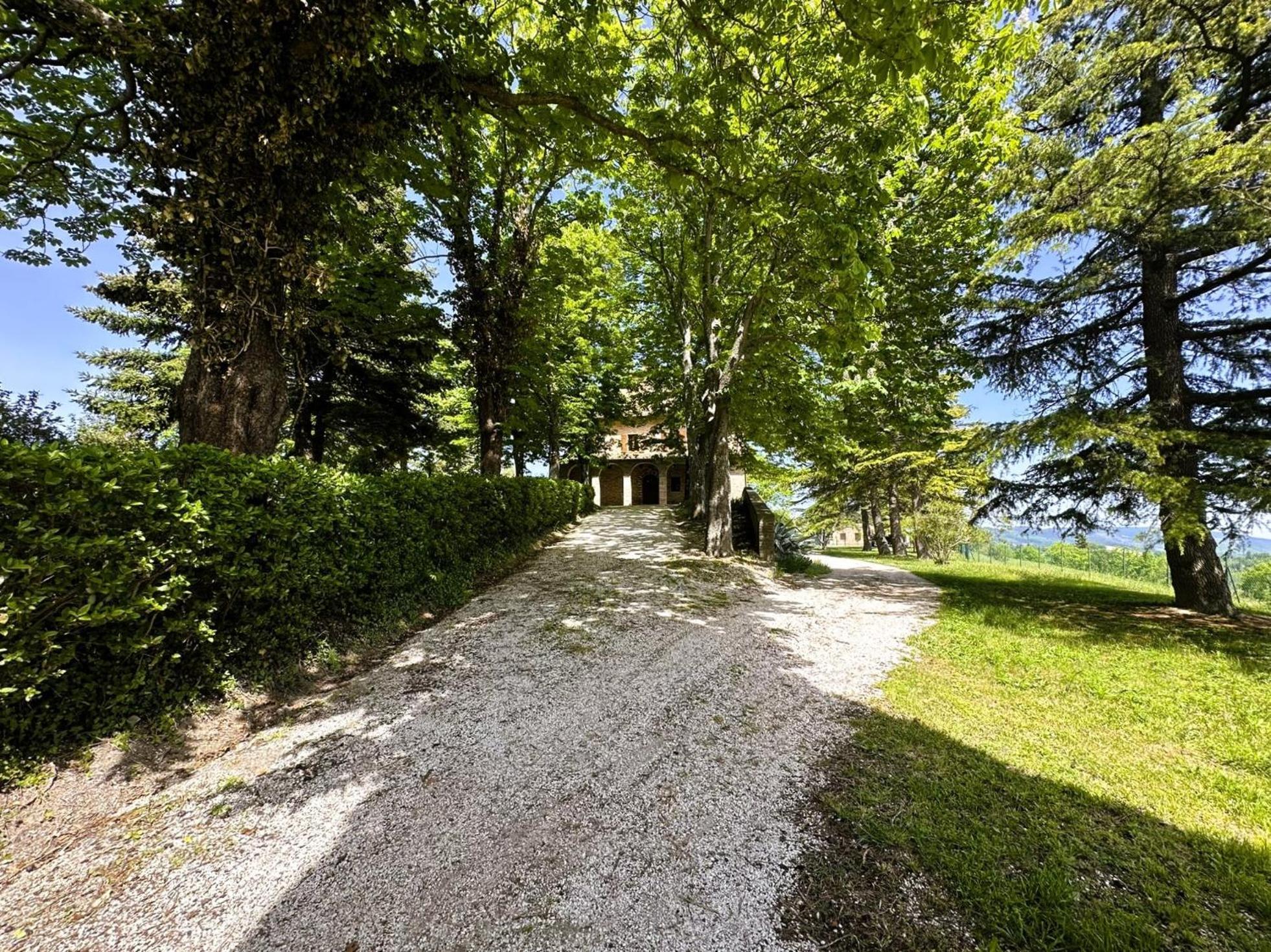 Villa Ca Paciotti Dal 1500 - Urbino E Rinascimento! Eksteriør billede